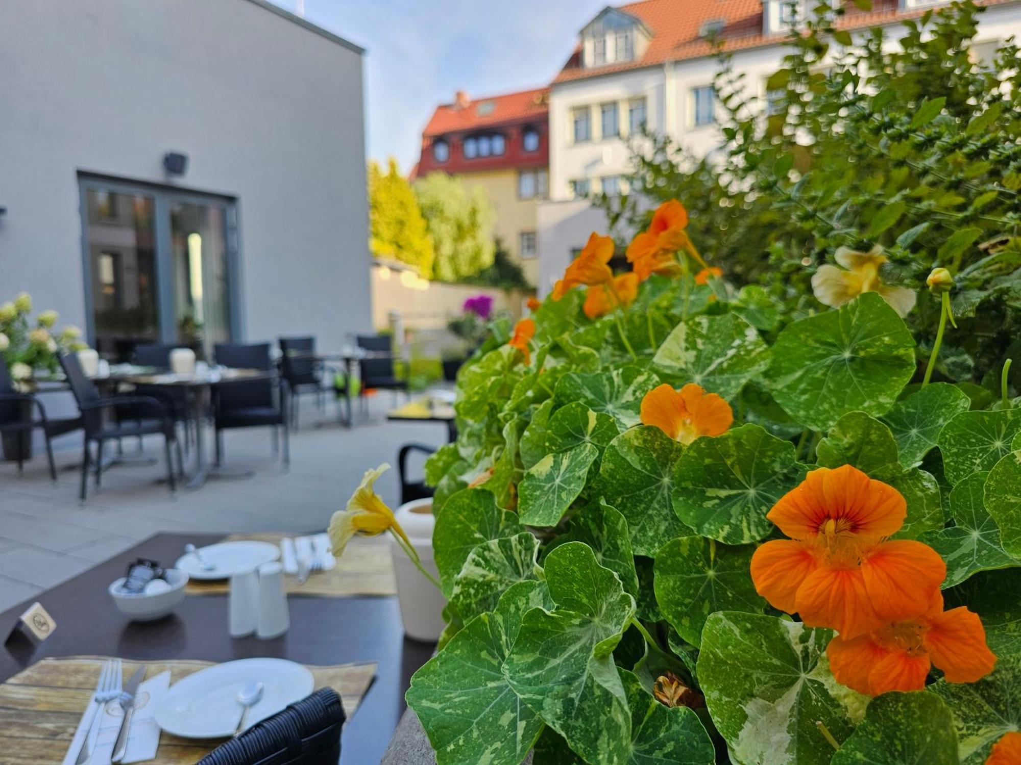 Hotel Am Kaisersaal إرفورت المظهر الخارجي الصورة